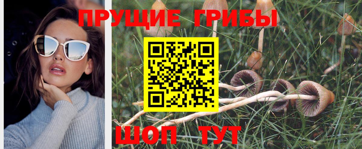 Псилоцибиновые грибы Psilocybe  Галлюциногенные грибы GOLDEN TEACHER  где найти   Вход с VPN  Чапаевск 